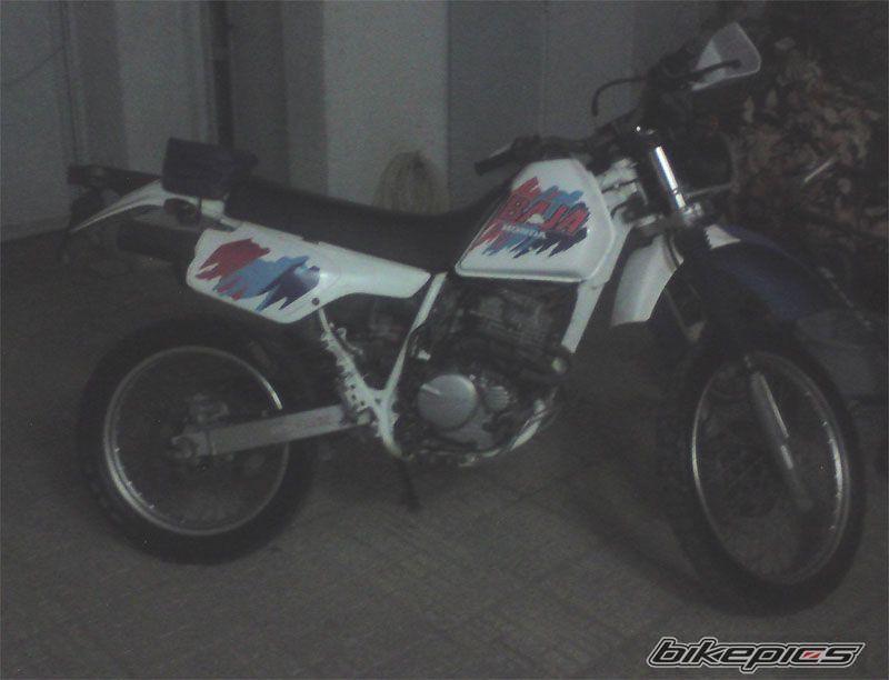 Photo 2266838