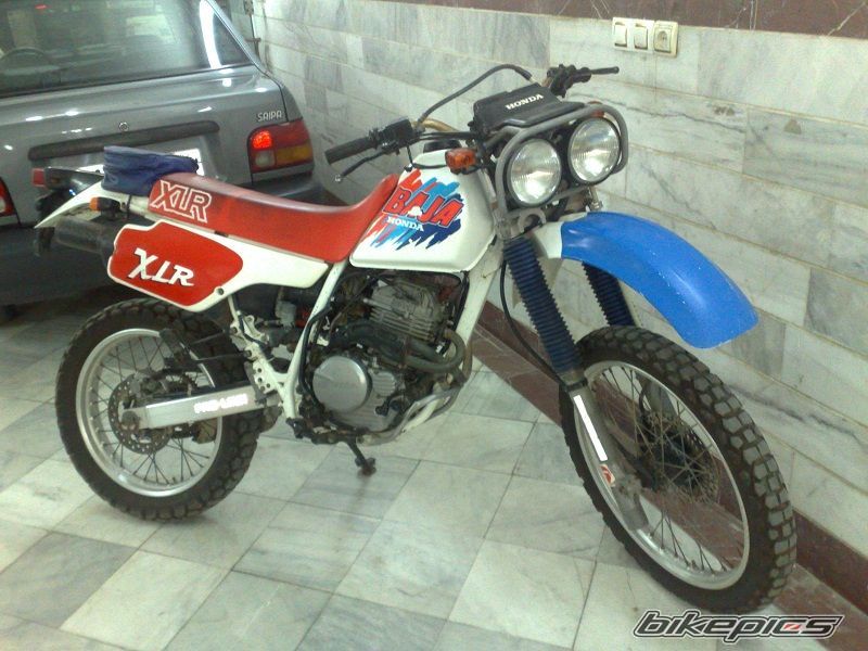 Photo 2266840
