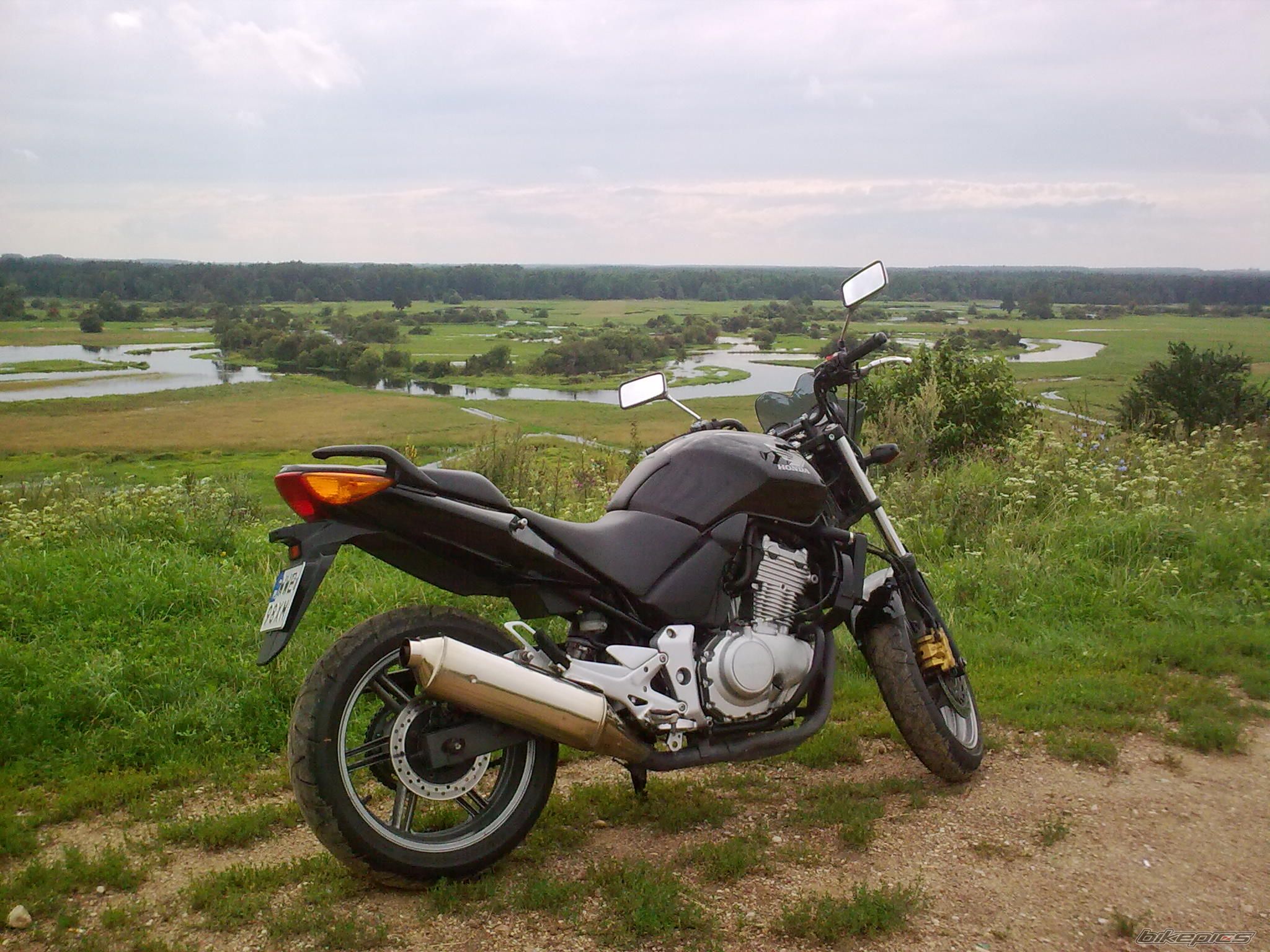 Photo 2266865