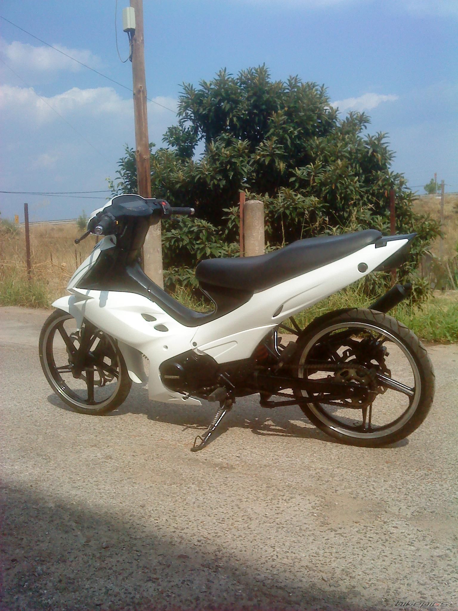 Photo 2266875