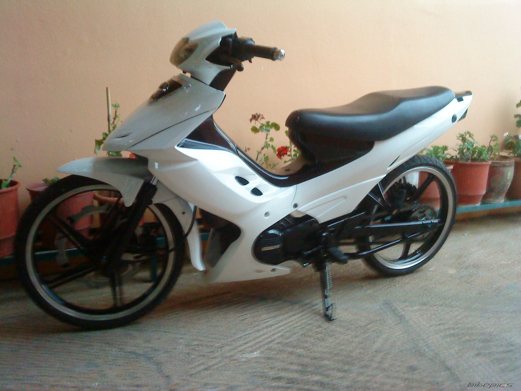 Photo 2266881