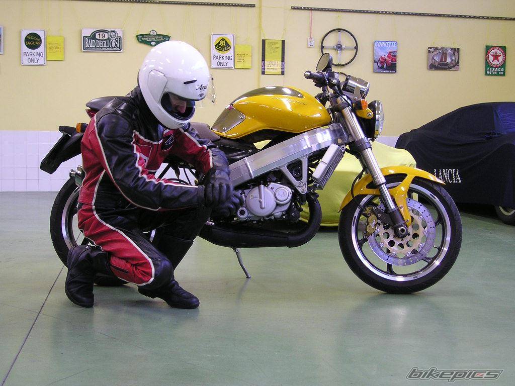Photo 226693
