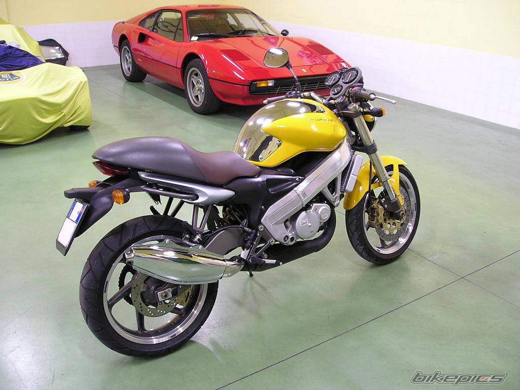 Photo 226698
