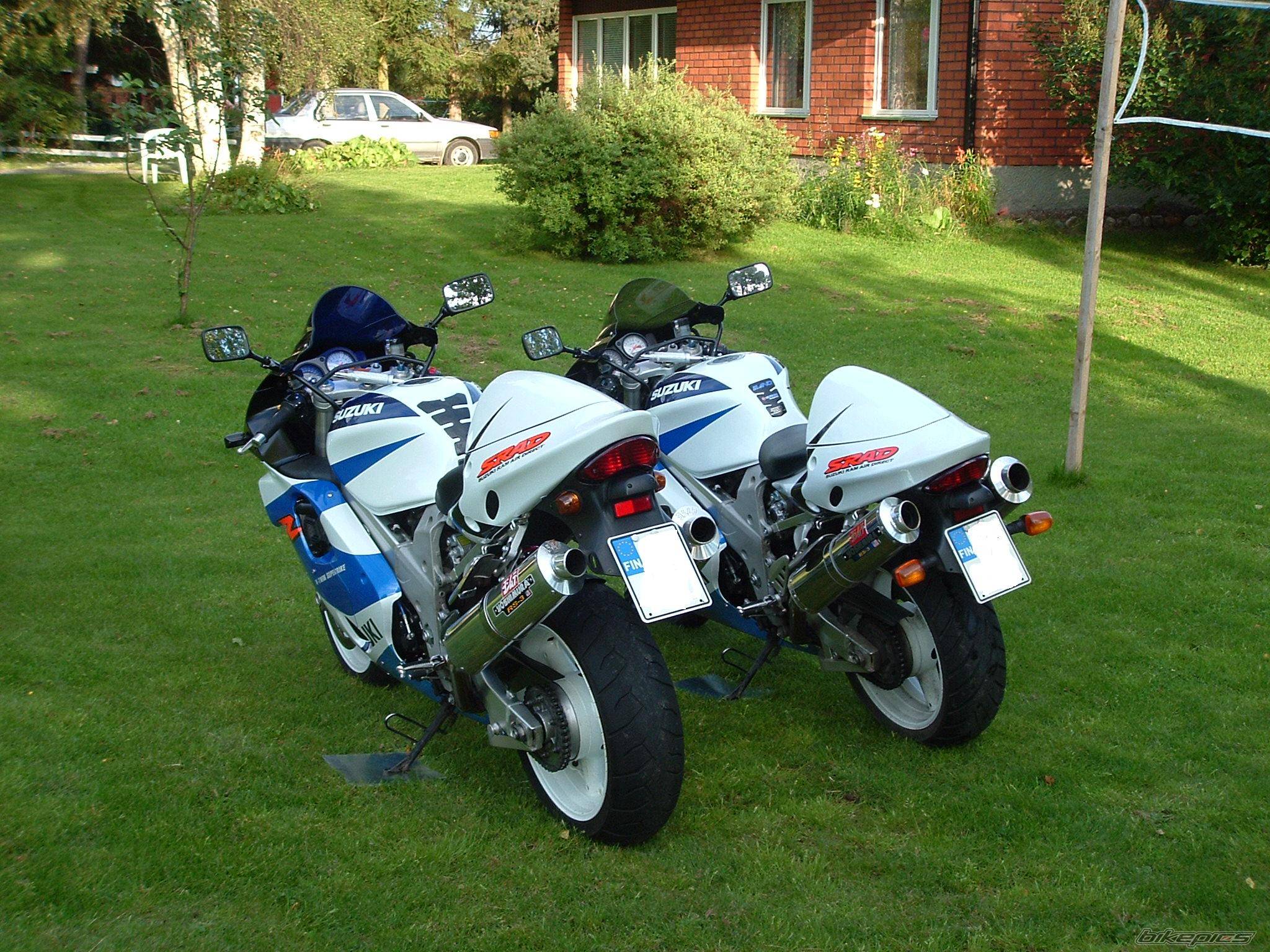Photo 226708