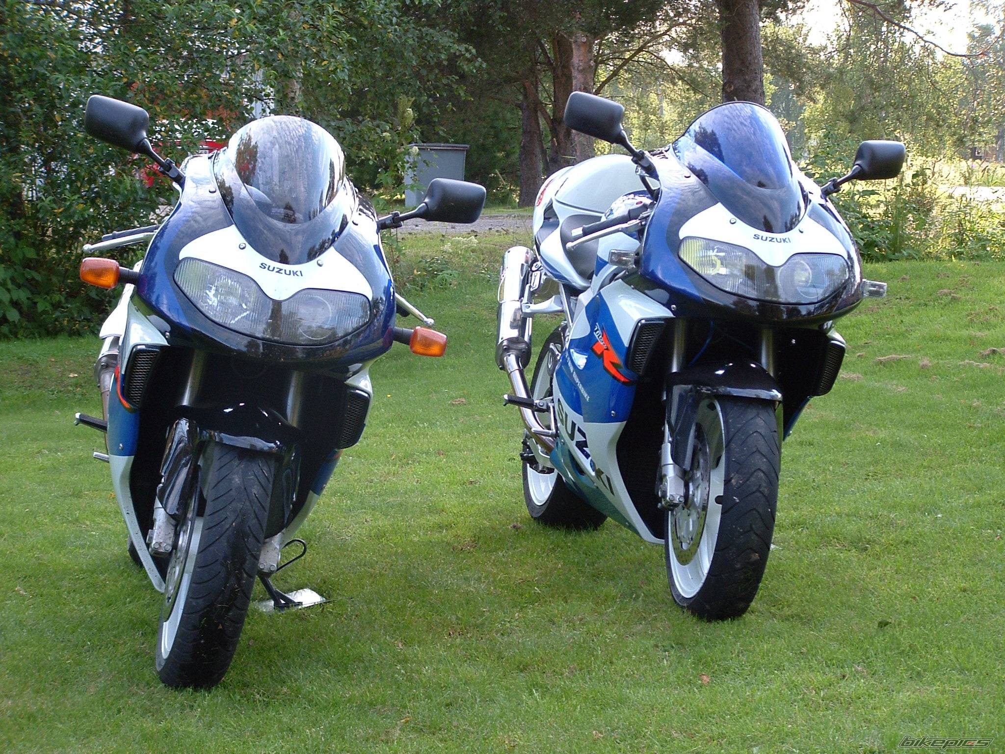 Photo 226709