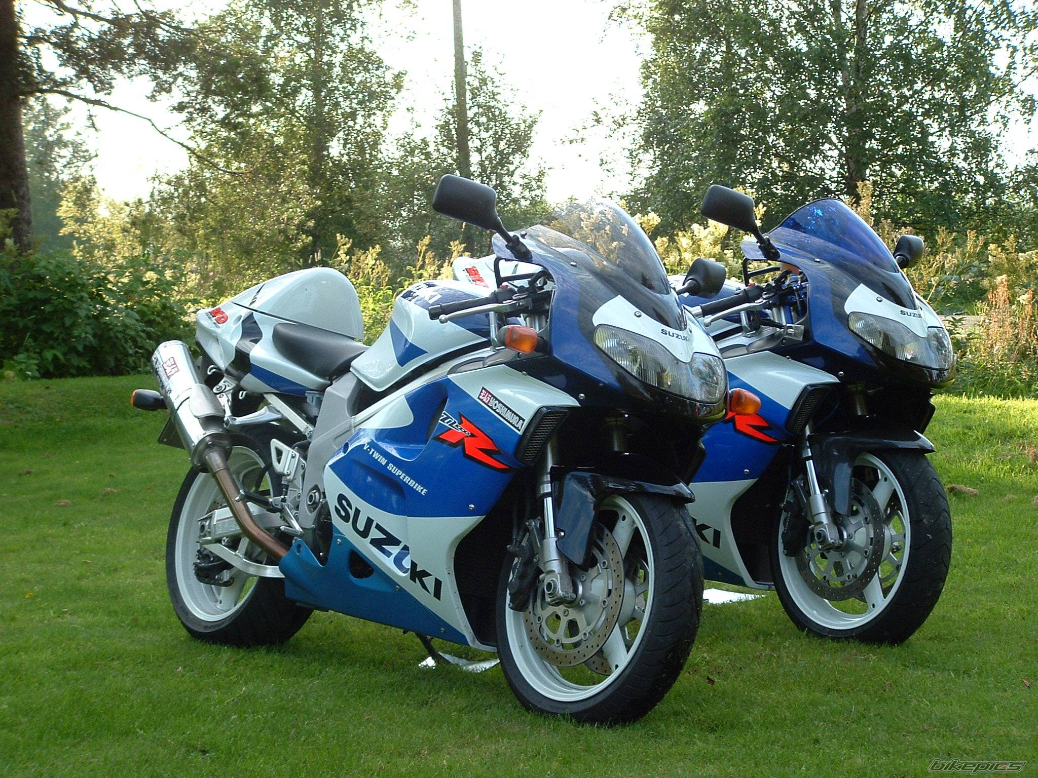 Photo 226710