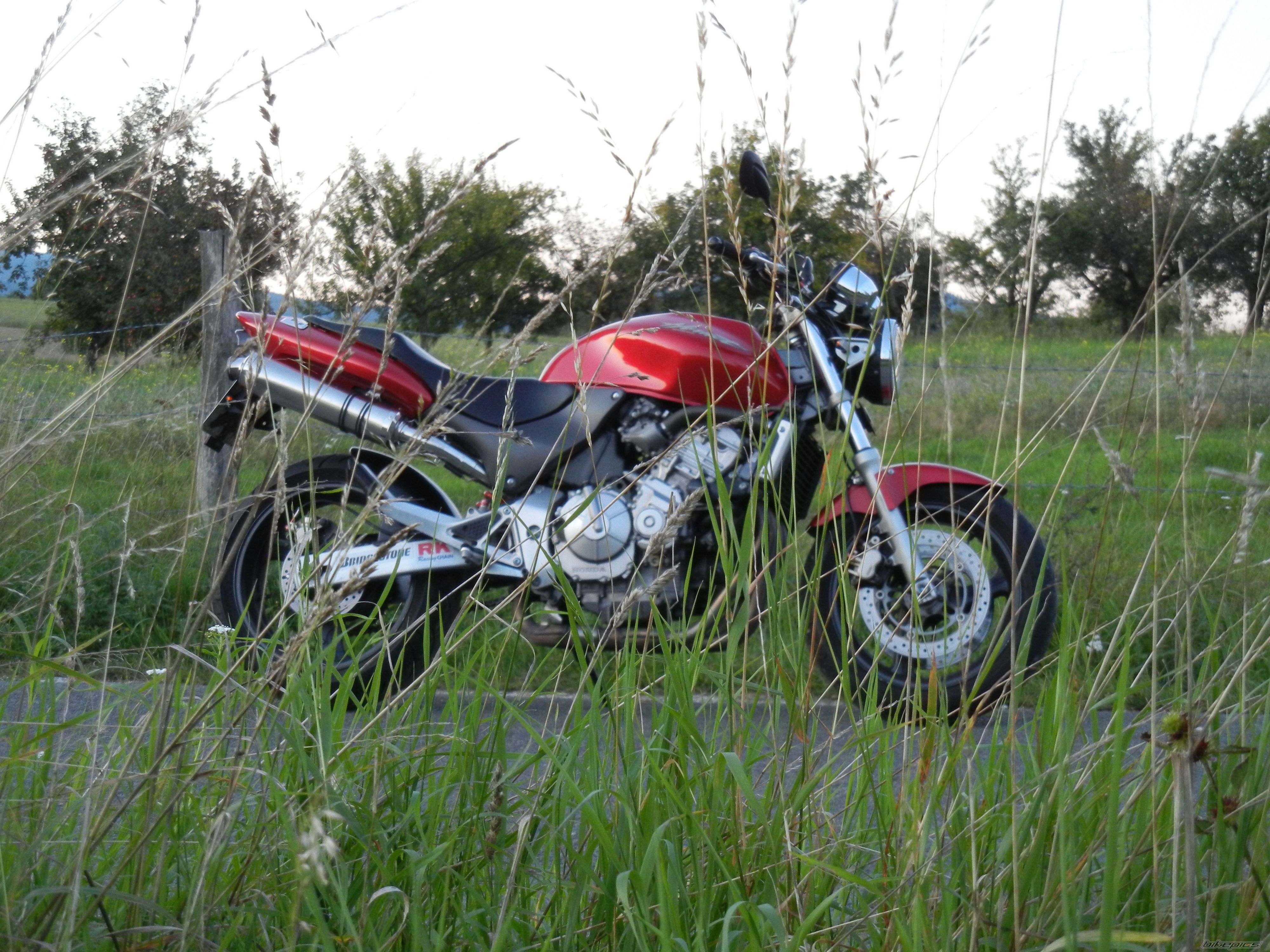 Photo 2267224