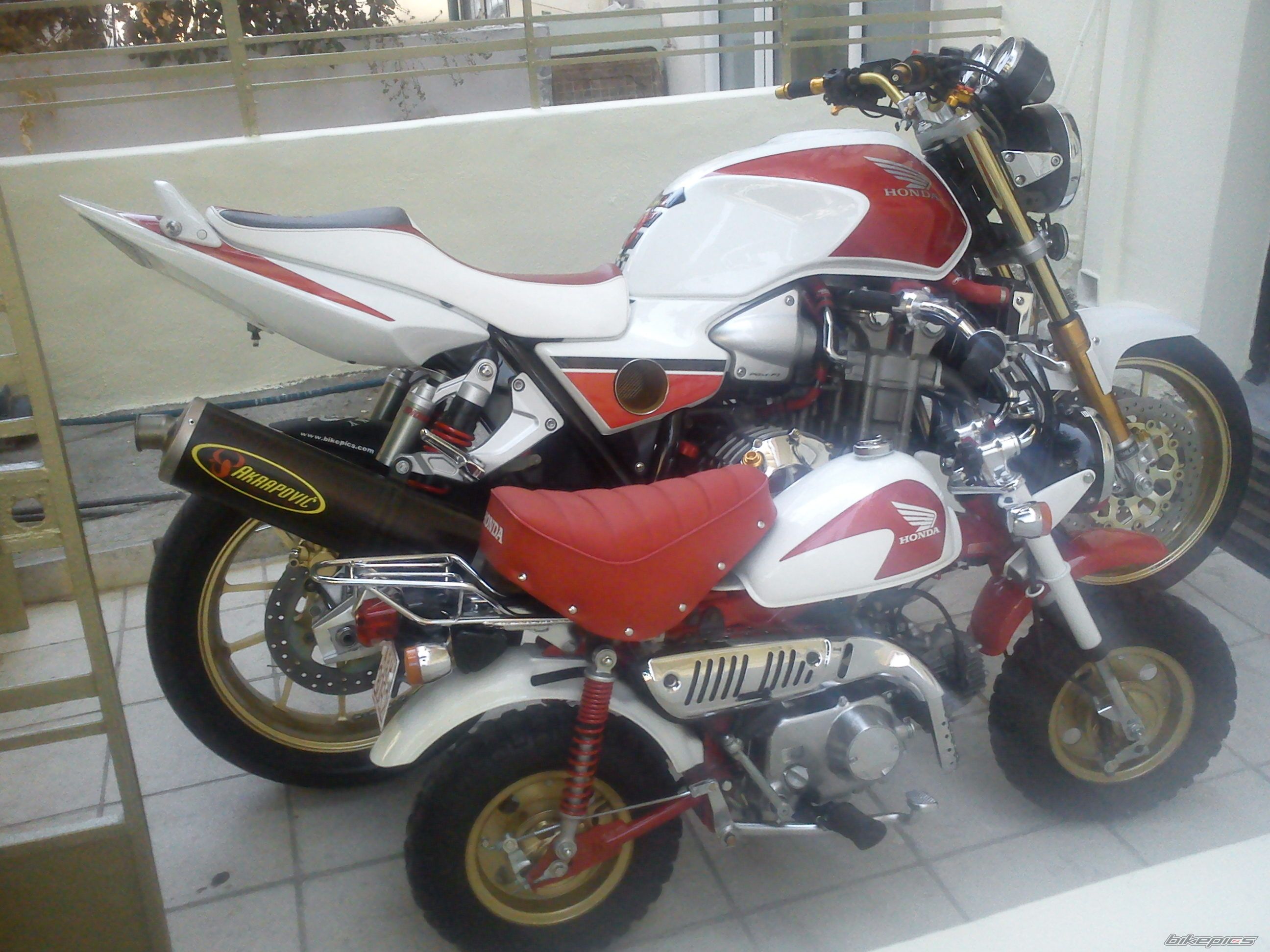 Photo 2267244