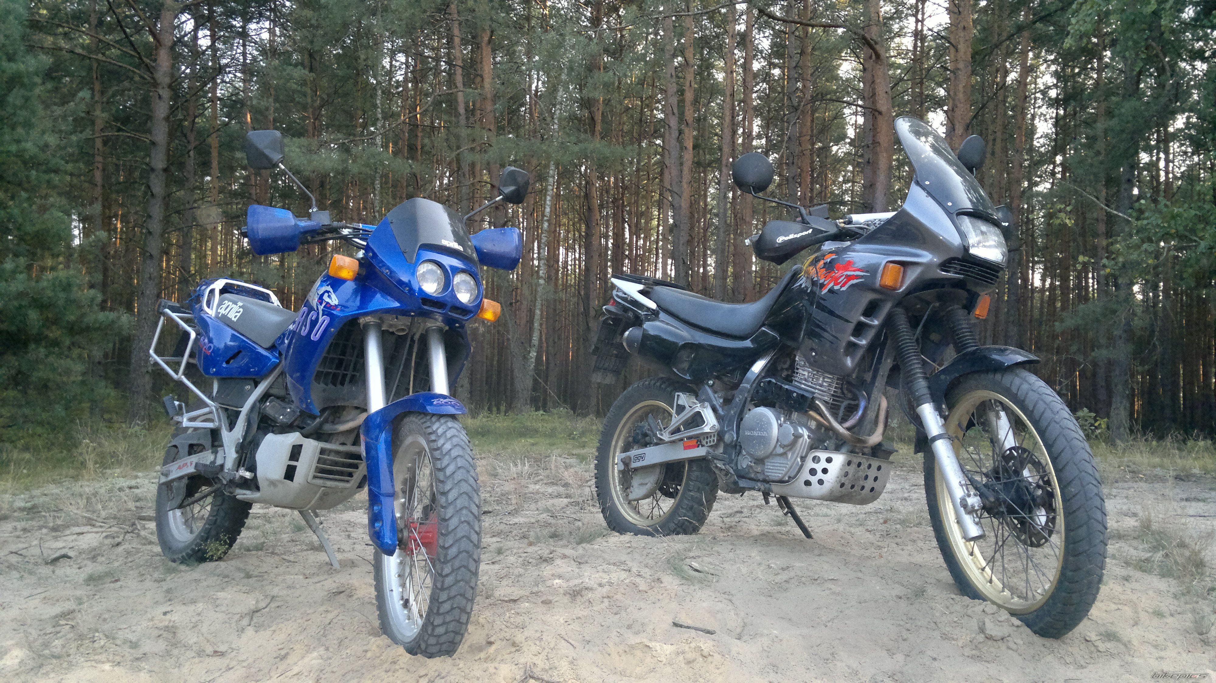 Photo 2267255