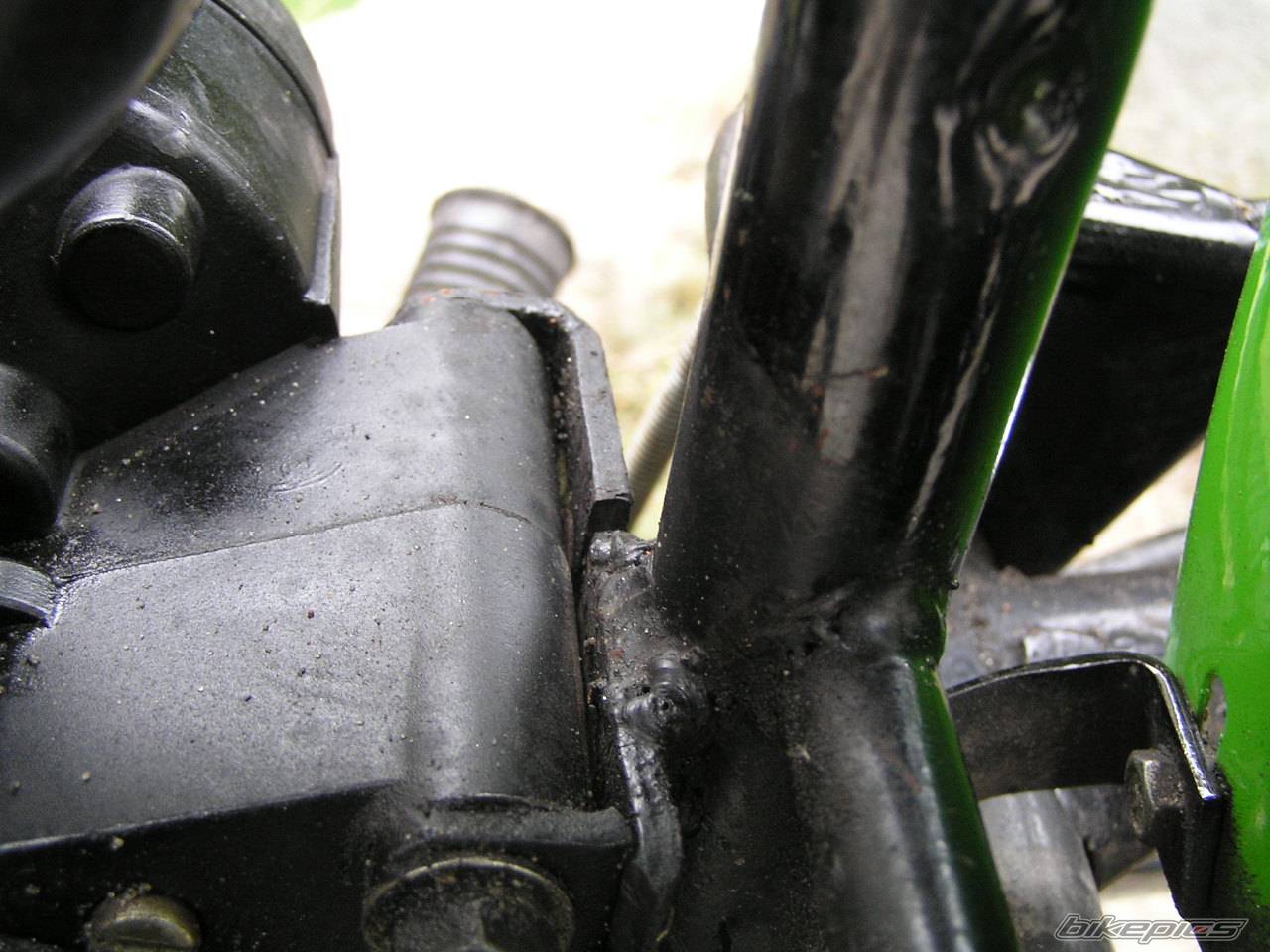 Photo 226729
