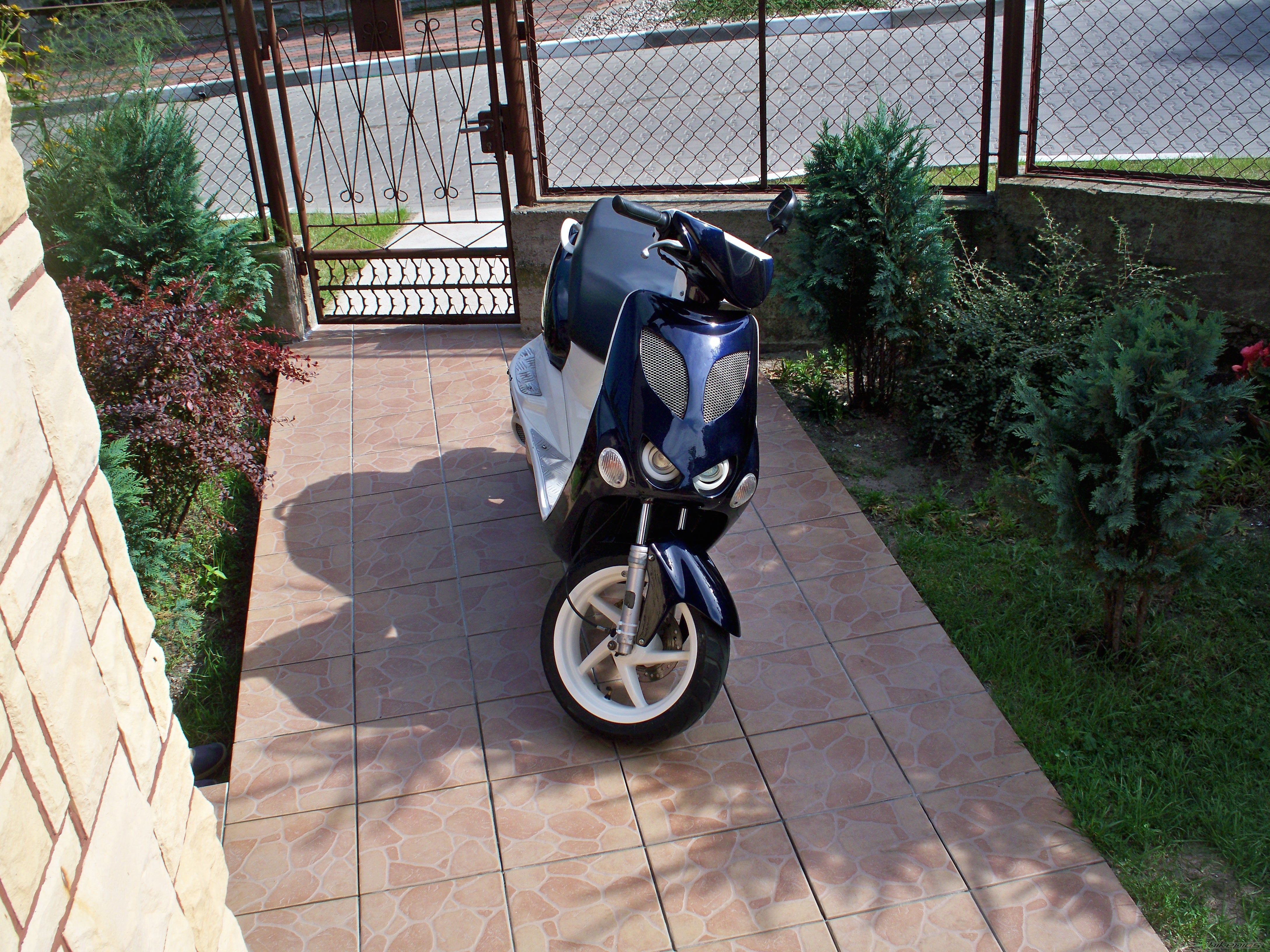 Photo 2267299