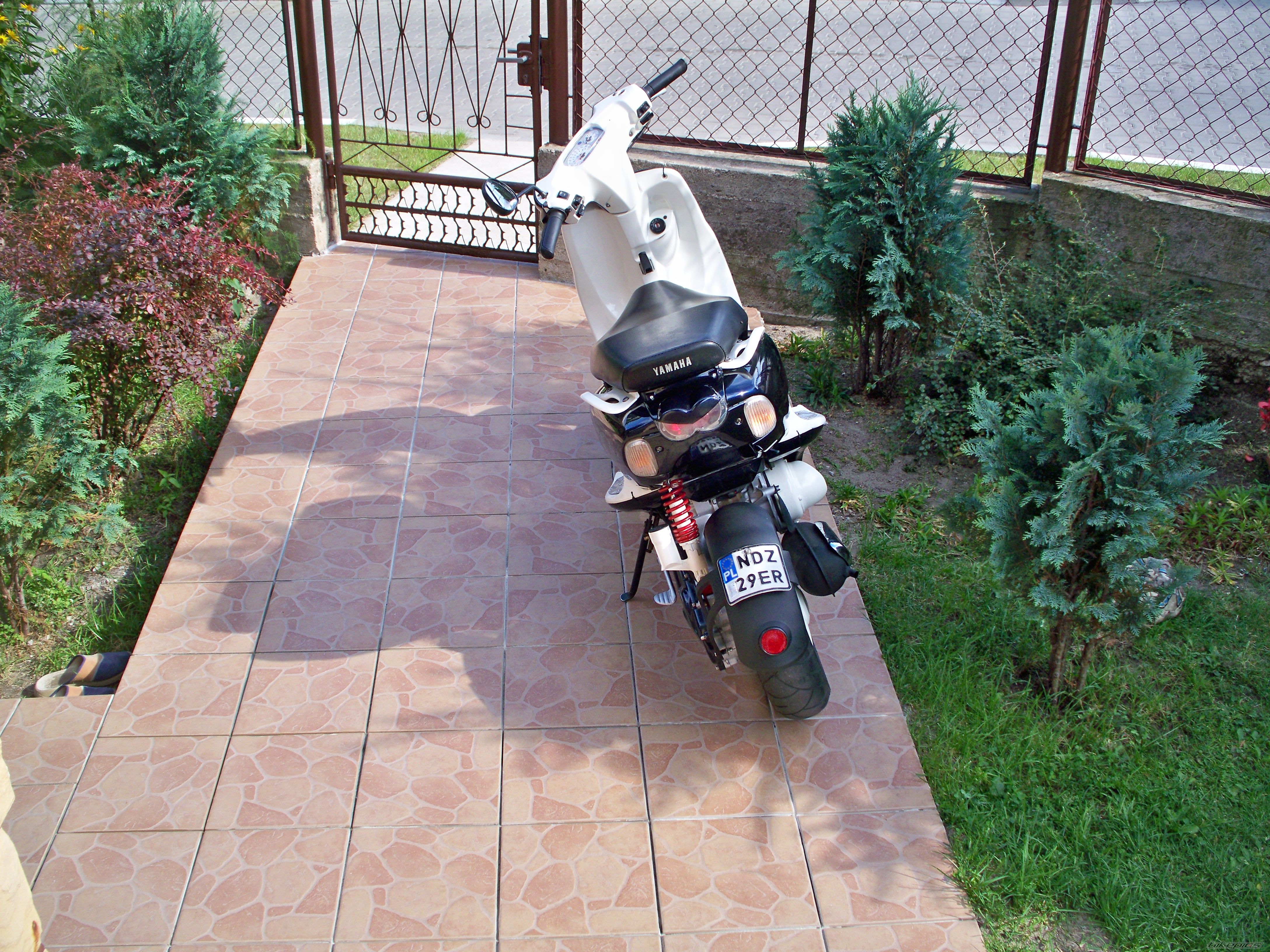 Photo 2267328