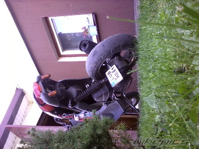 Photo 2267333