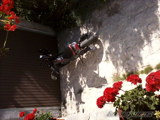 Photo 2267343