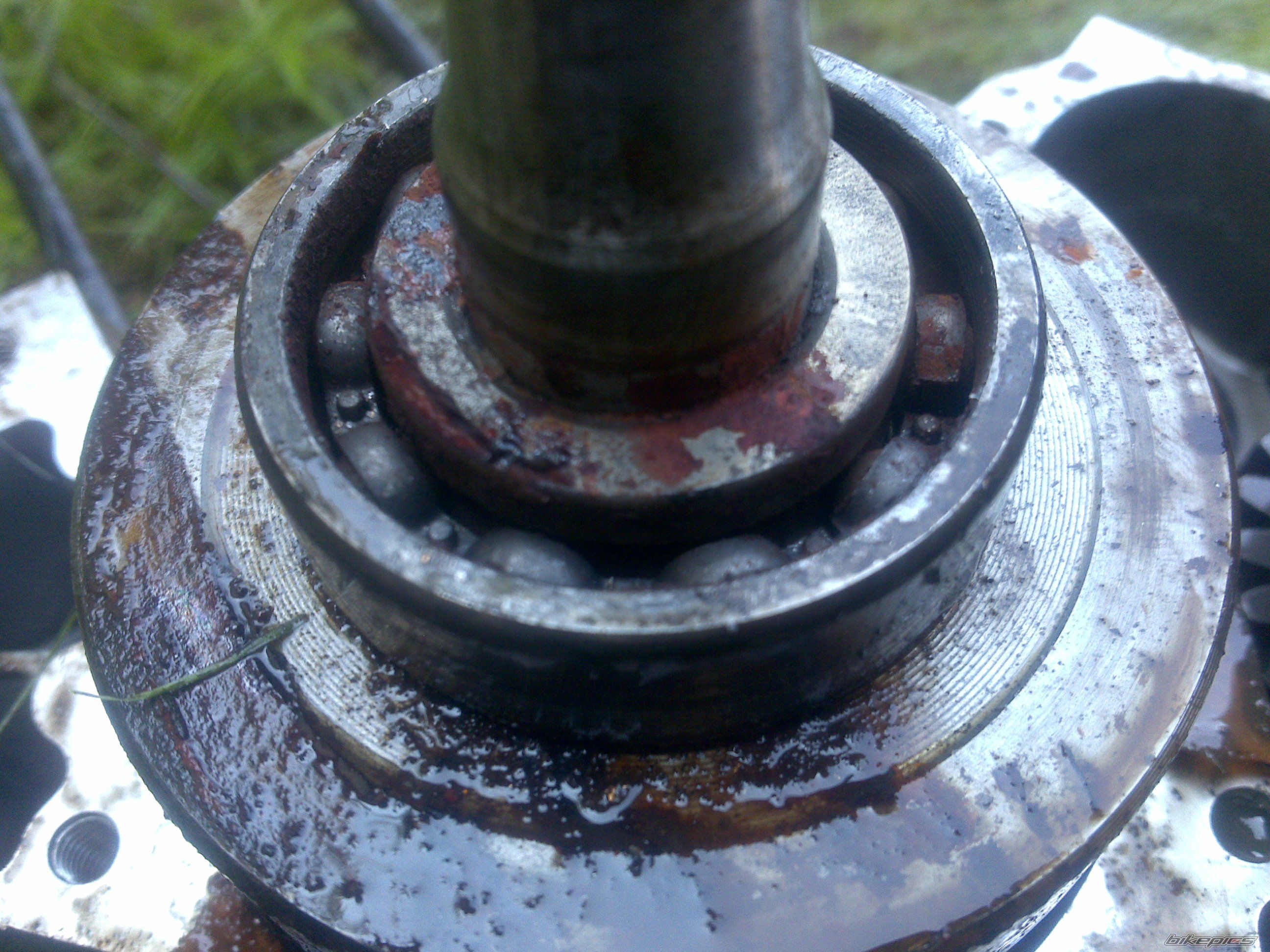 Photo 2267357