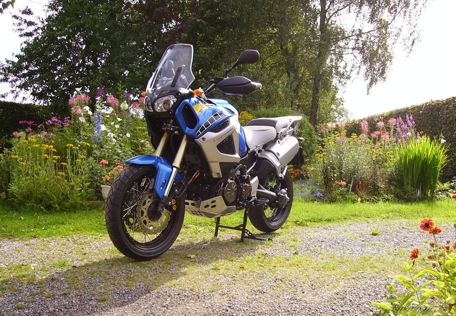 Photo 2267449