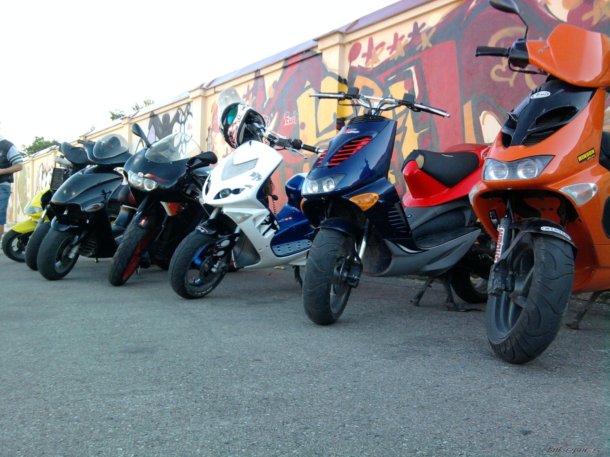 Photo 2267539