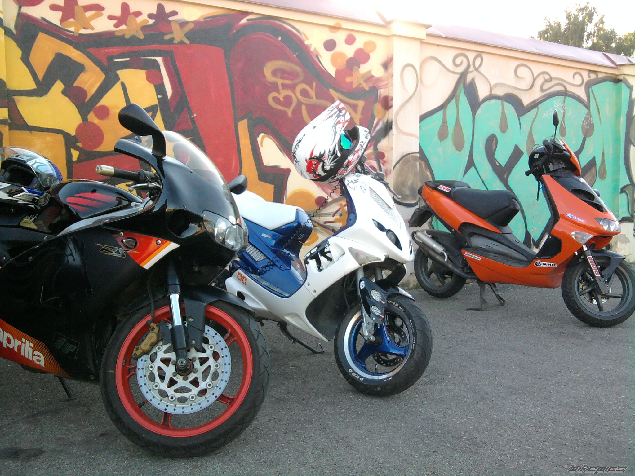 Photo 2267540