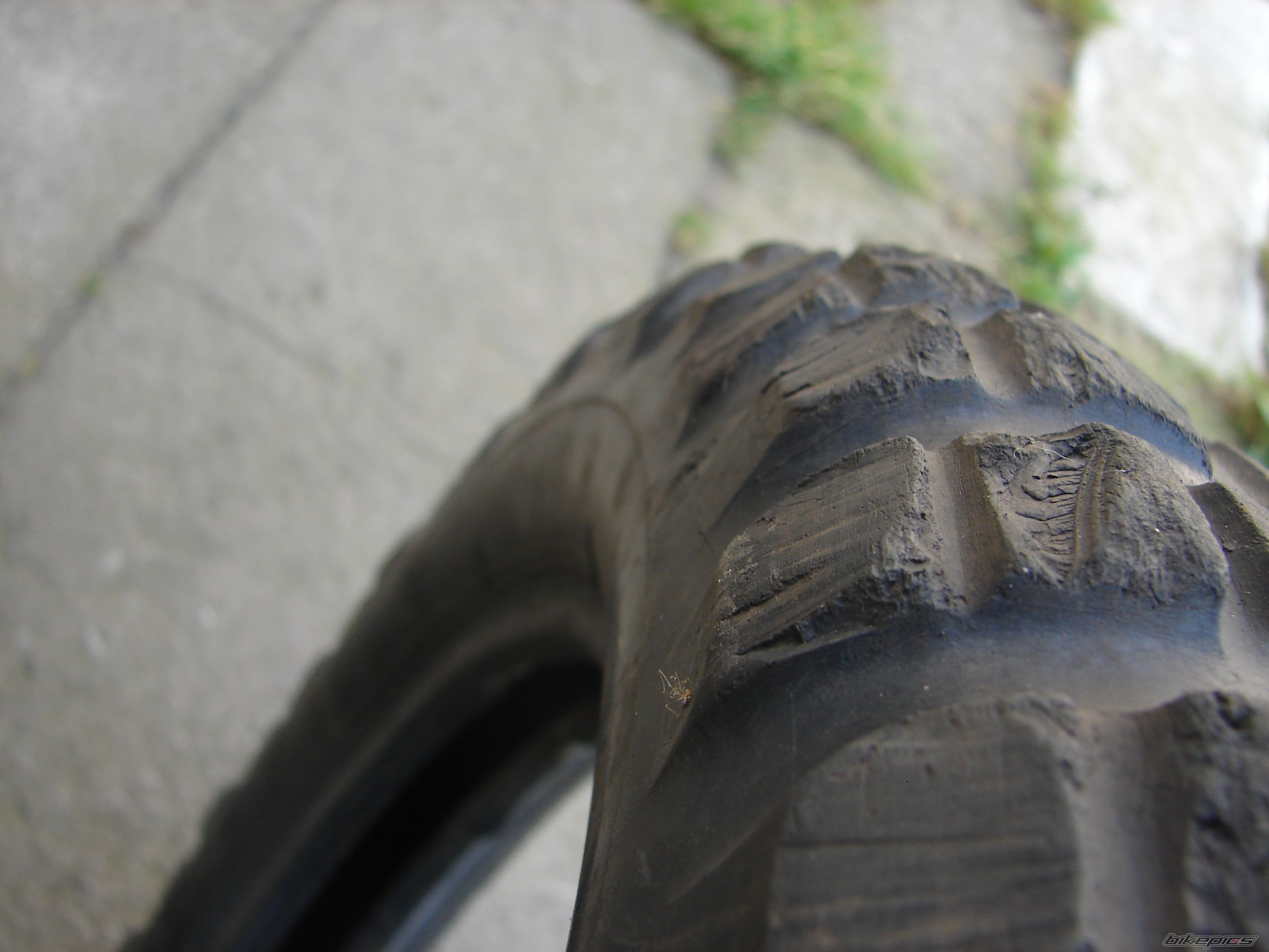 Photo 2267573