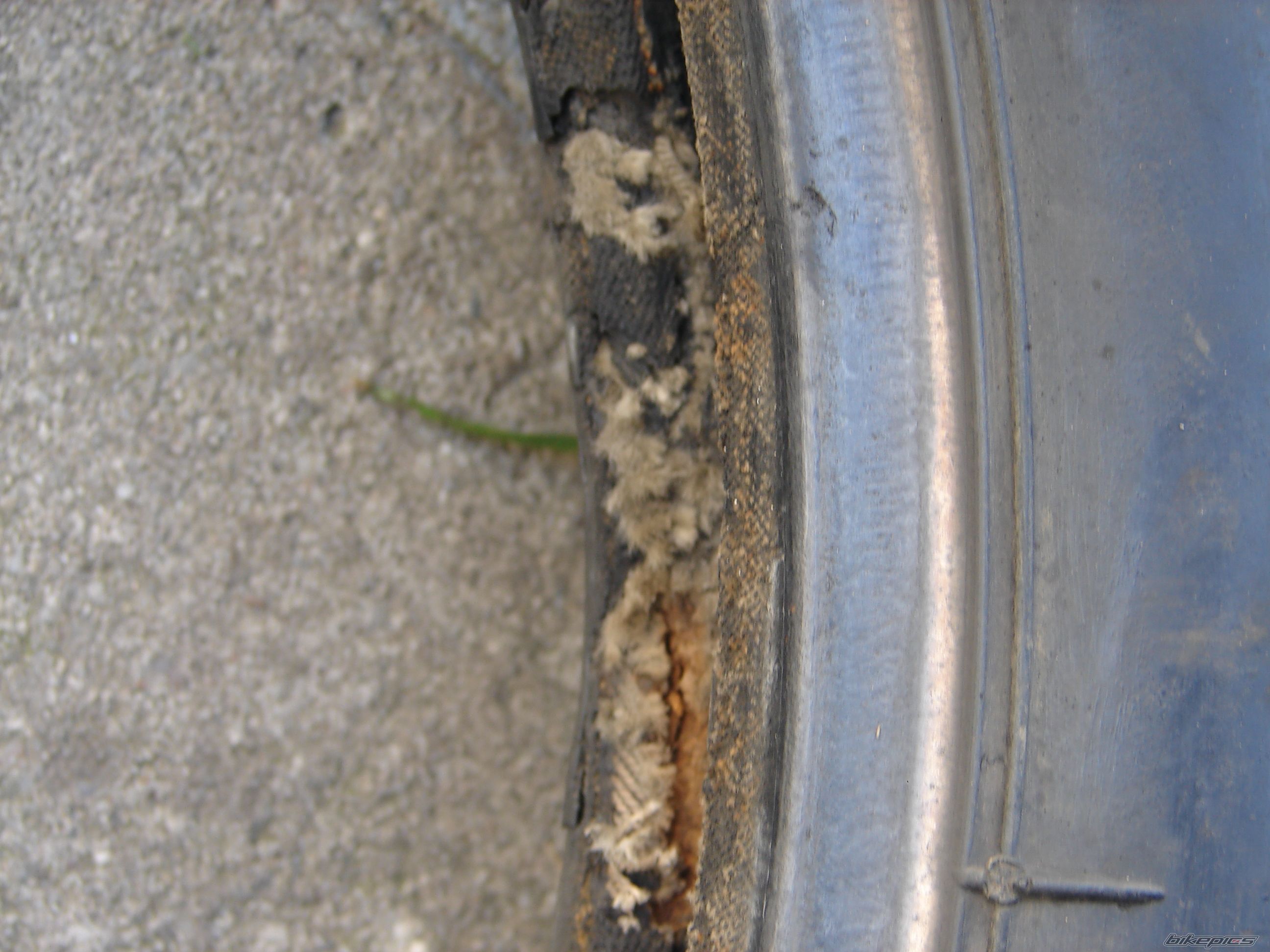 Photo 2267580