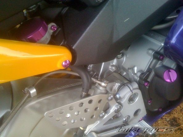 Photo 2267648