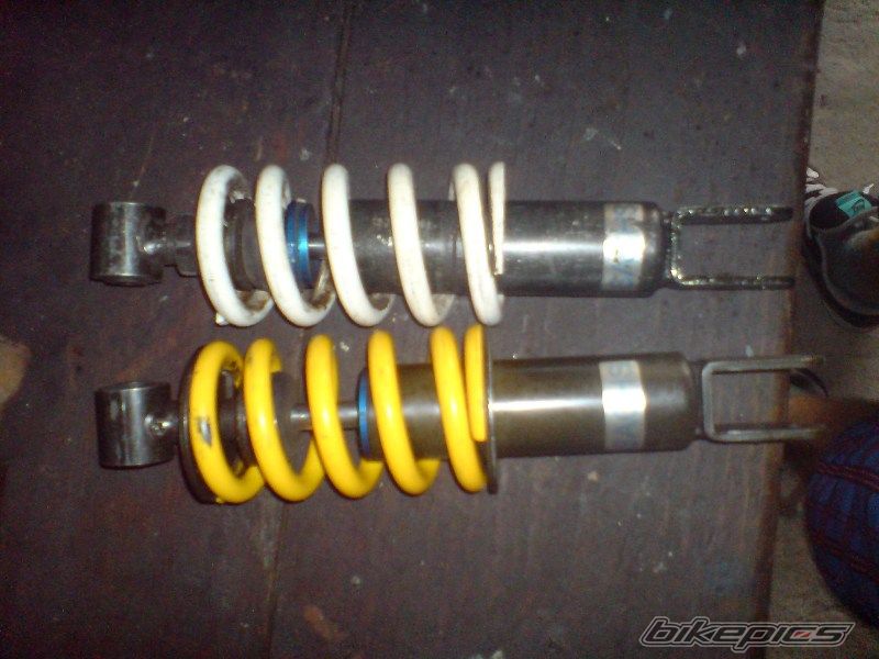 Photo 2267661