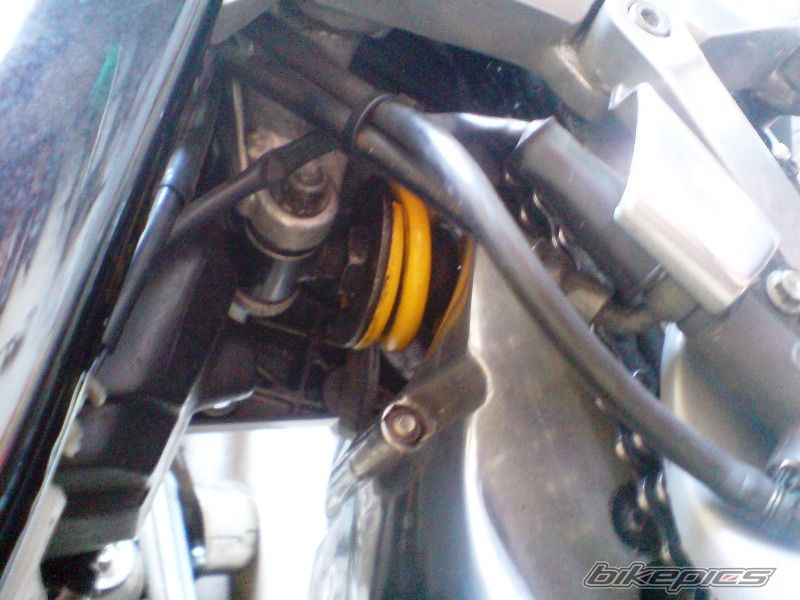 Photo 2267663