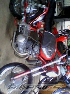 Photo 2267834