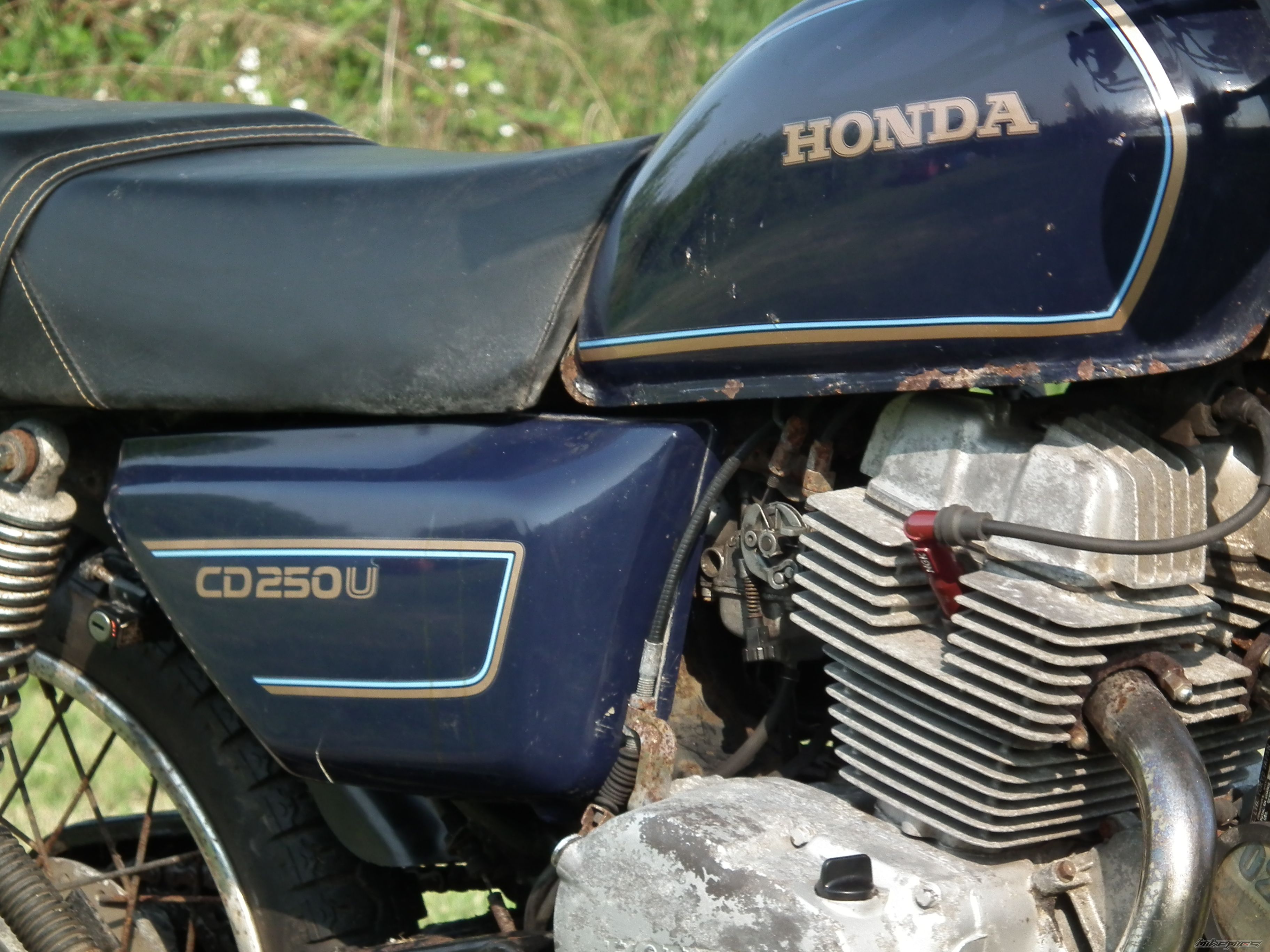 Photo 2267874
