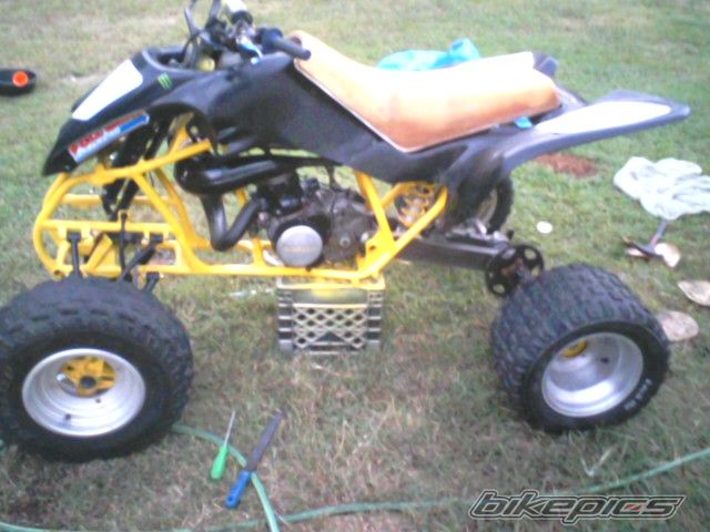 Photo 2268039