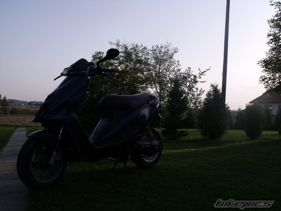 Photo 2268095