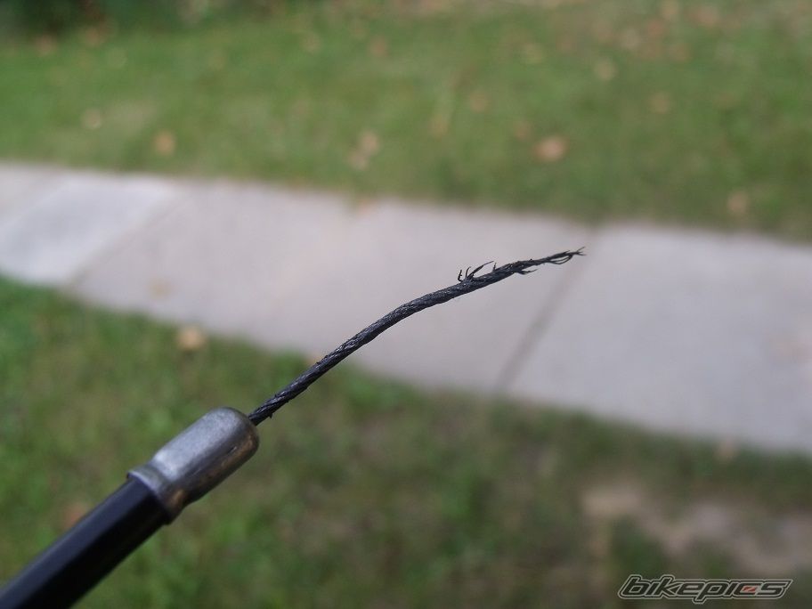 Photo 2268103