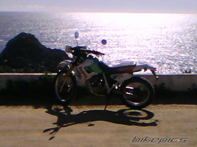 Photo 2268209