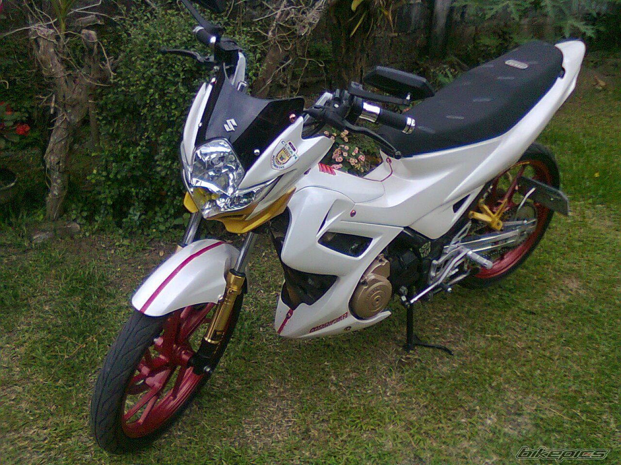 Photo 2268218