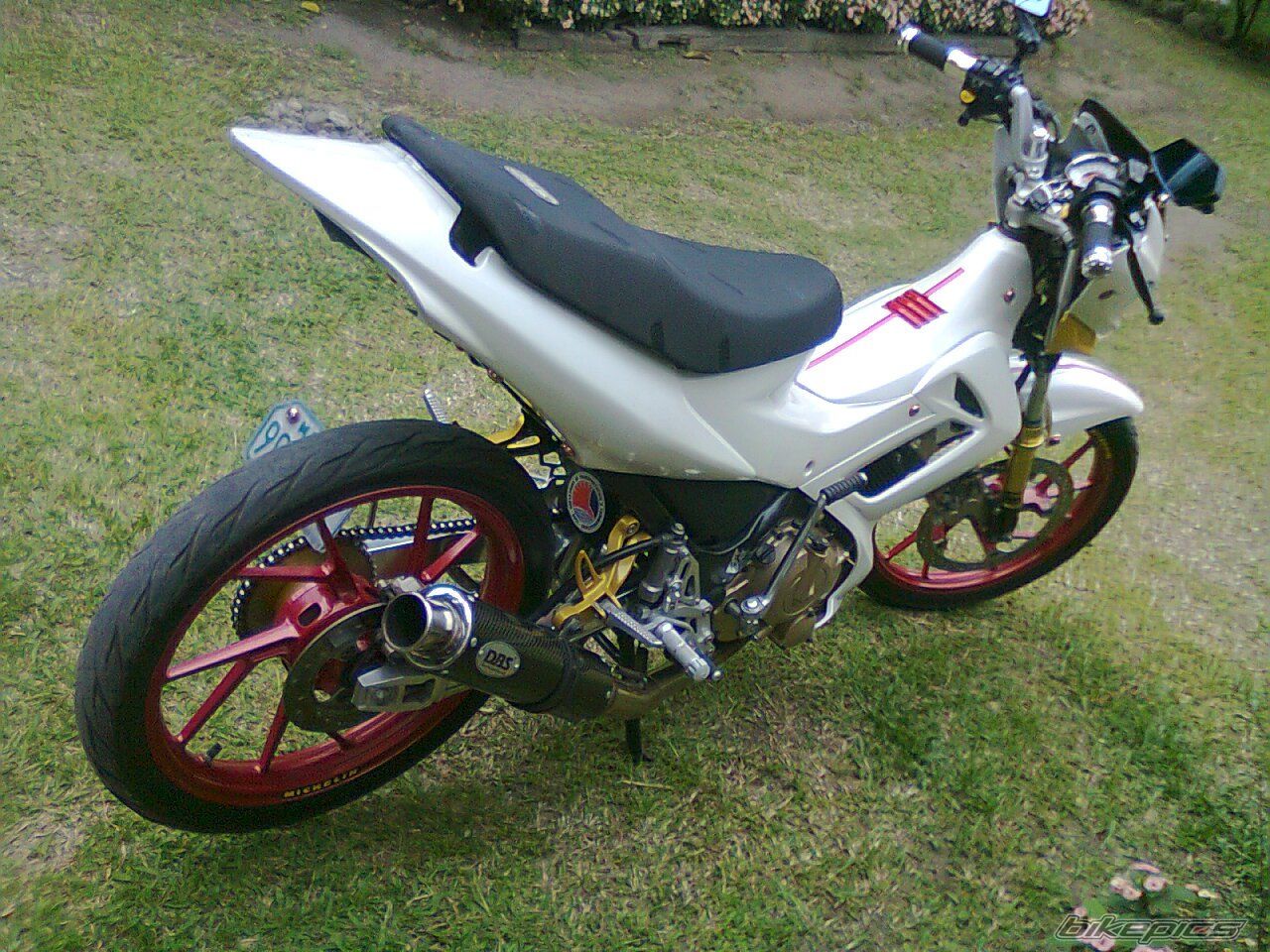 Photo 2268219