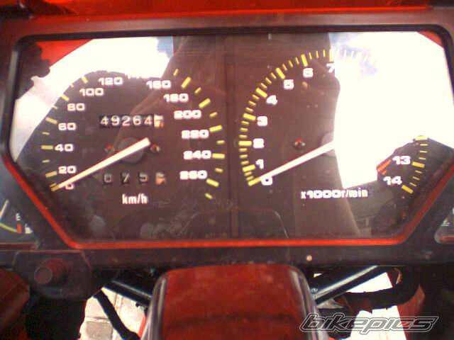 Photo 226824