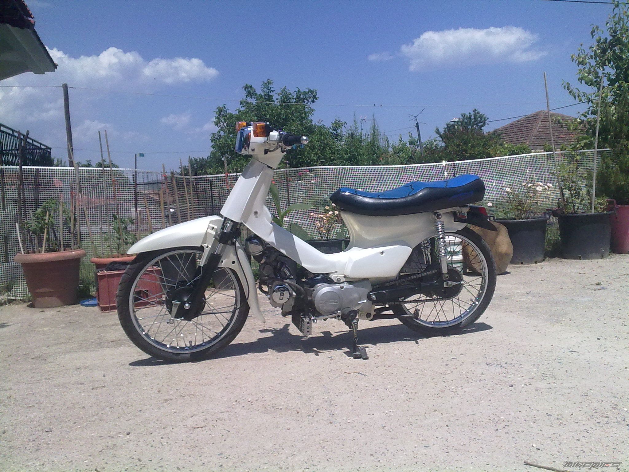 Photo 2268458