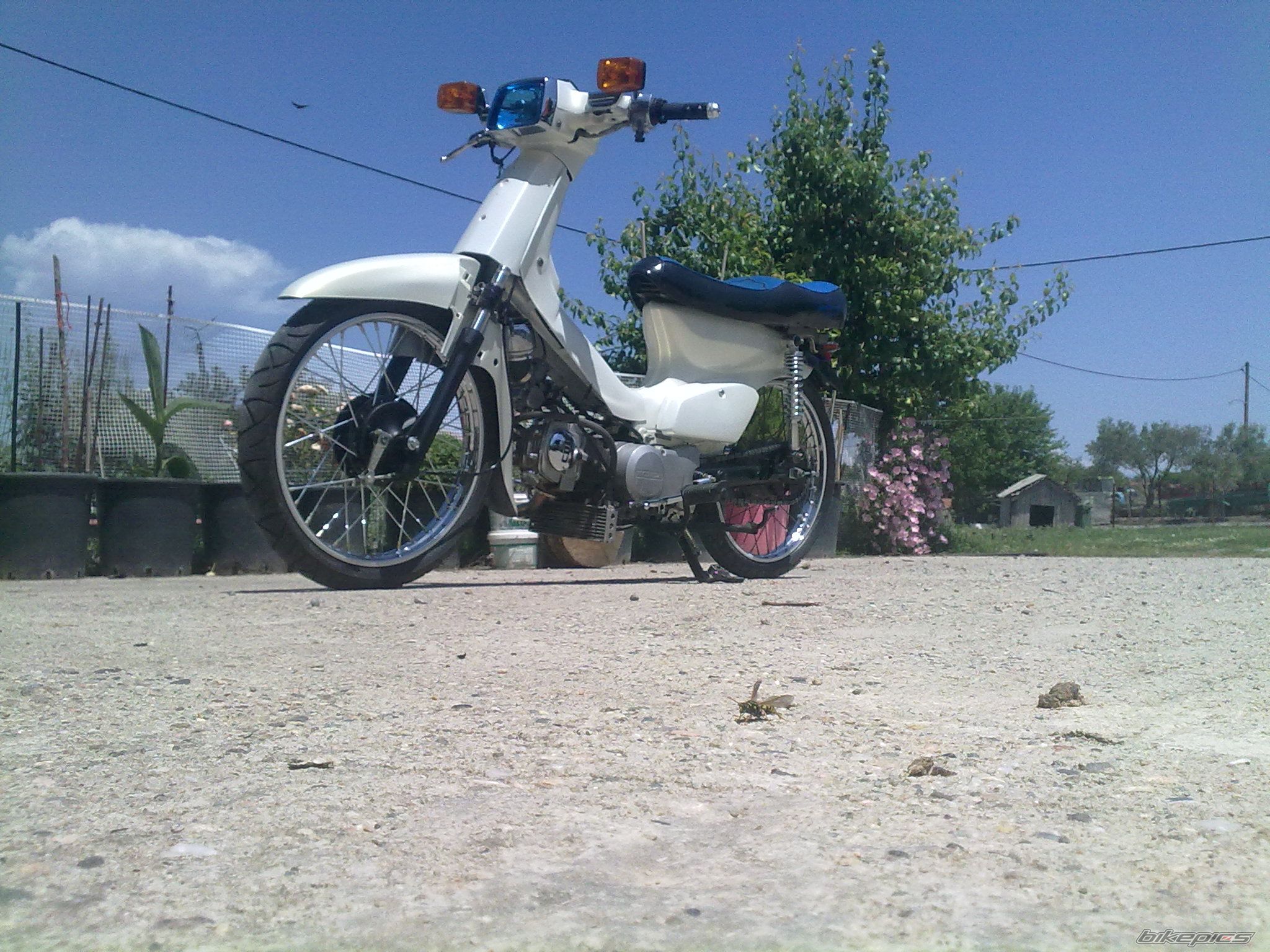 Photo 2268459