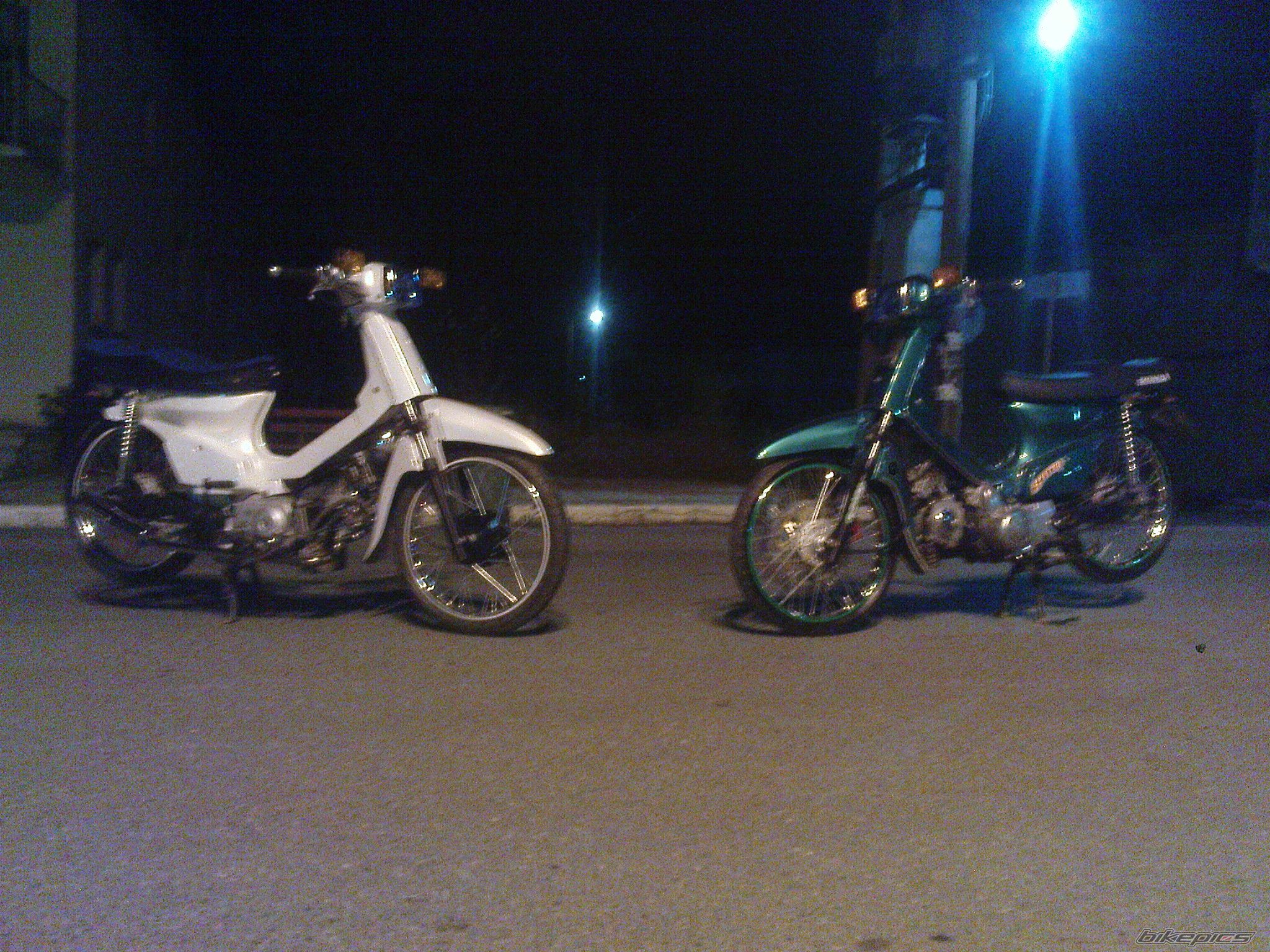 Photo 2268461