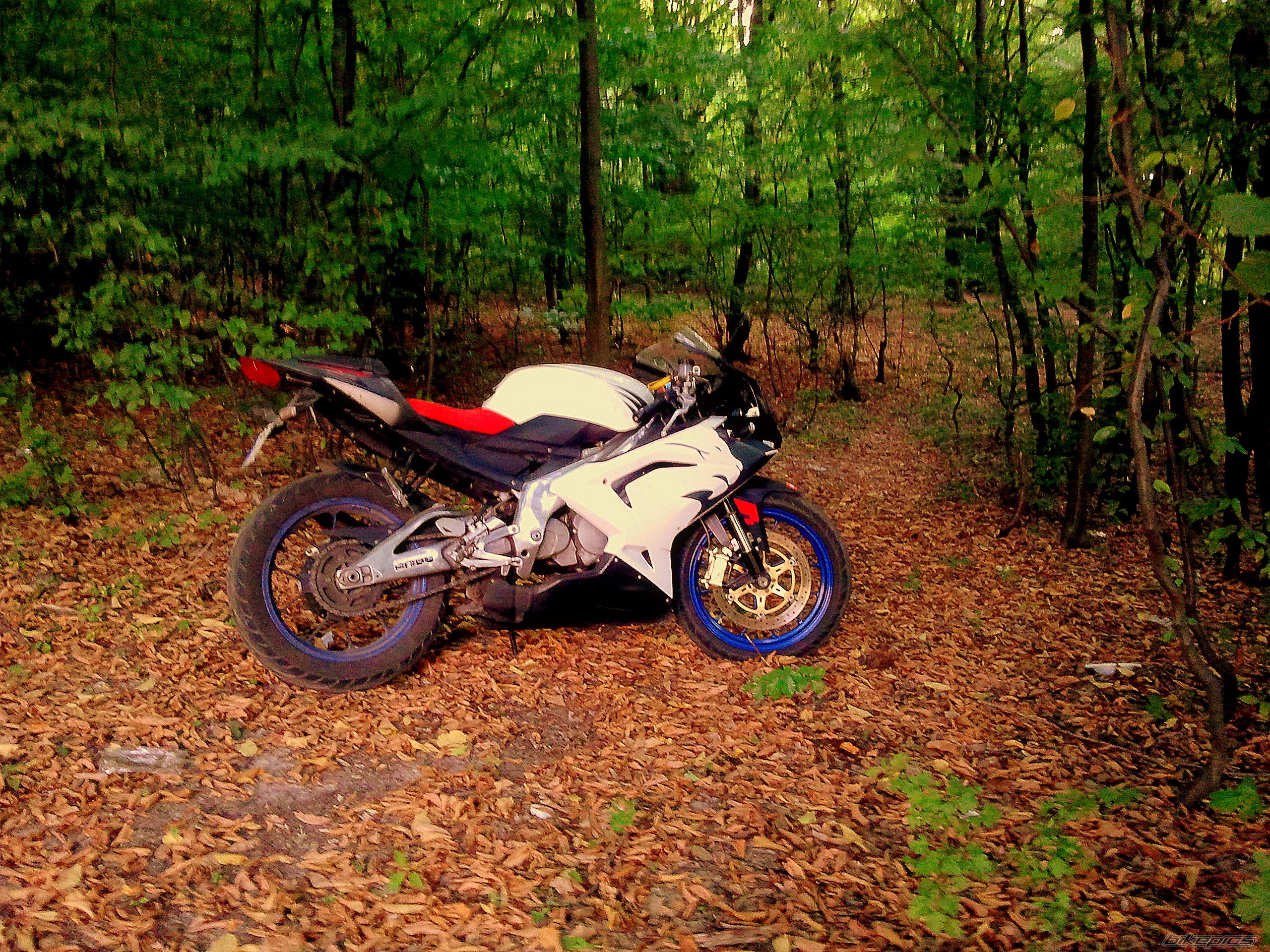 Photo 2268582