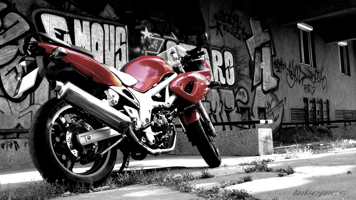Photo 2268648