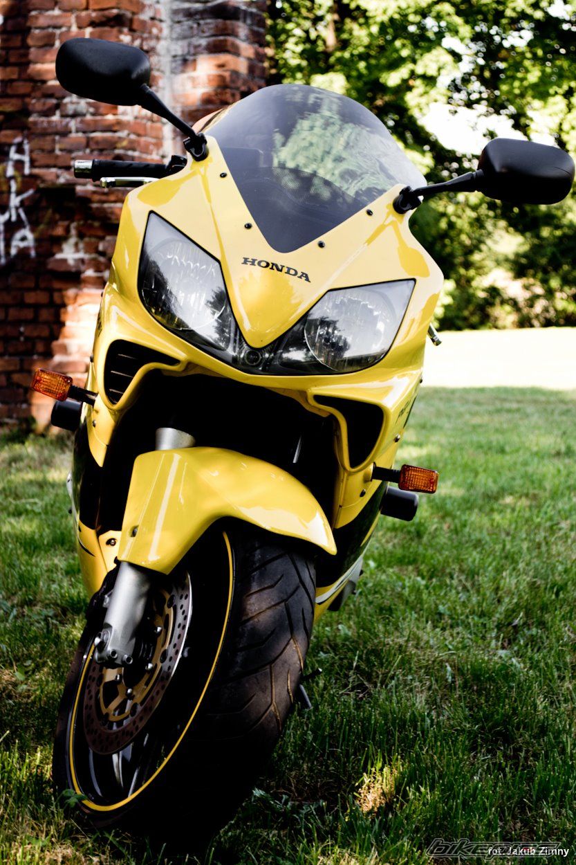 Photo 2268750