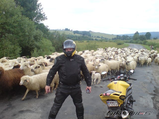Photo 2268841