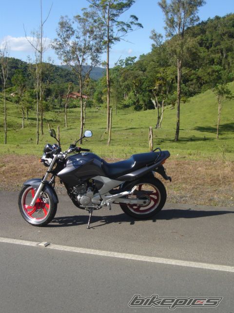 Photo 2268850