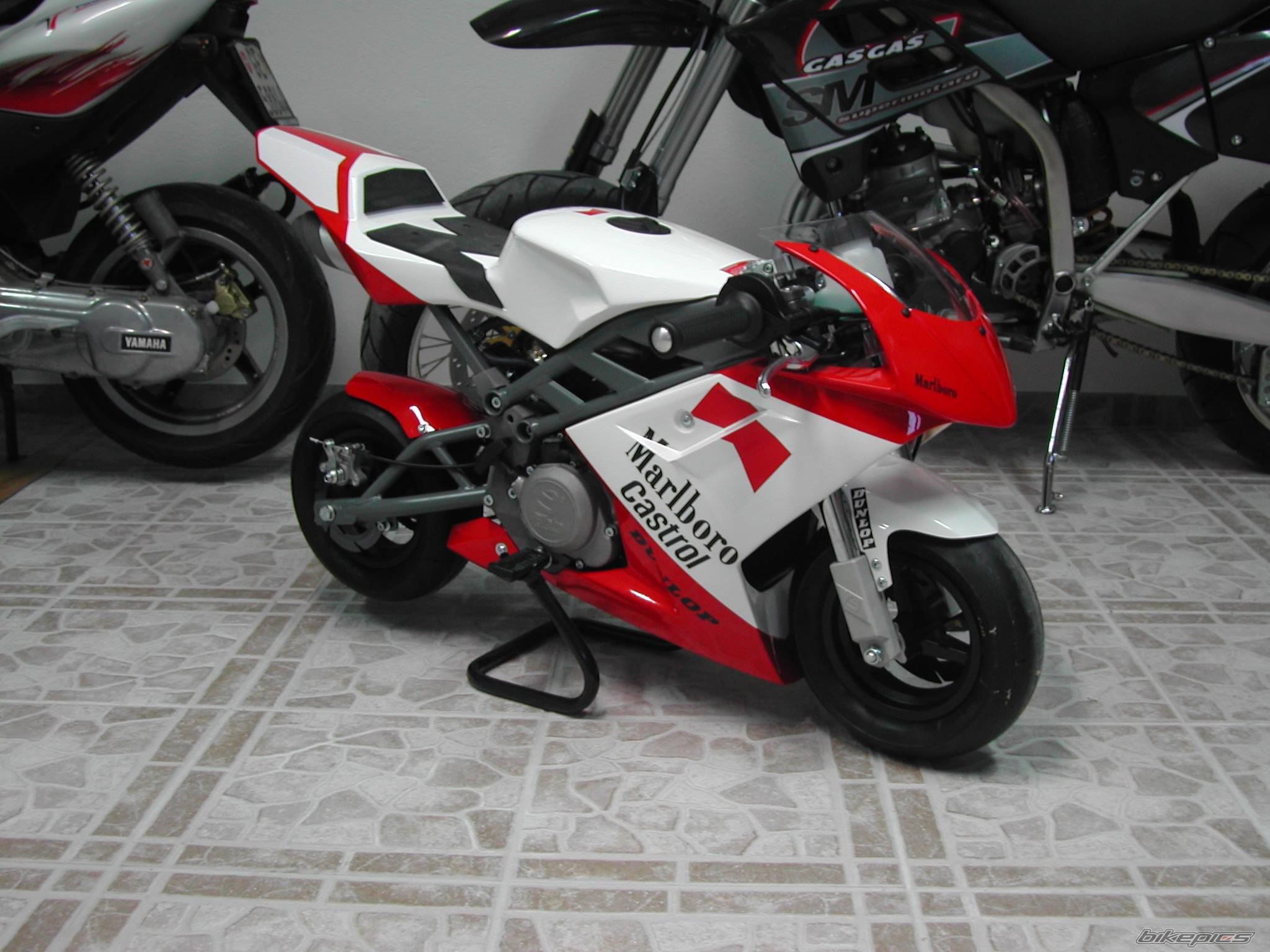 Photo 226886