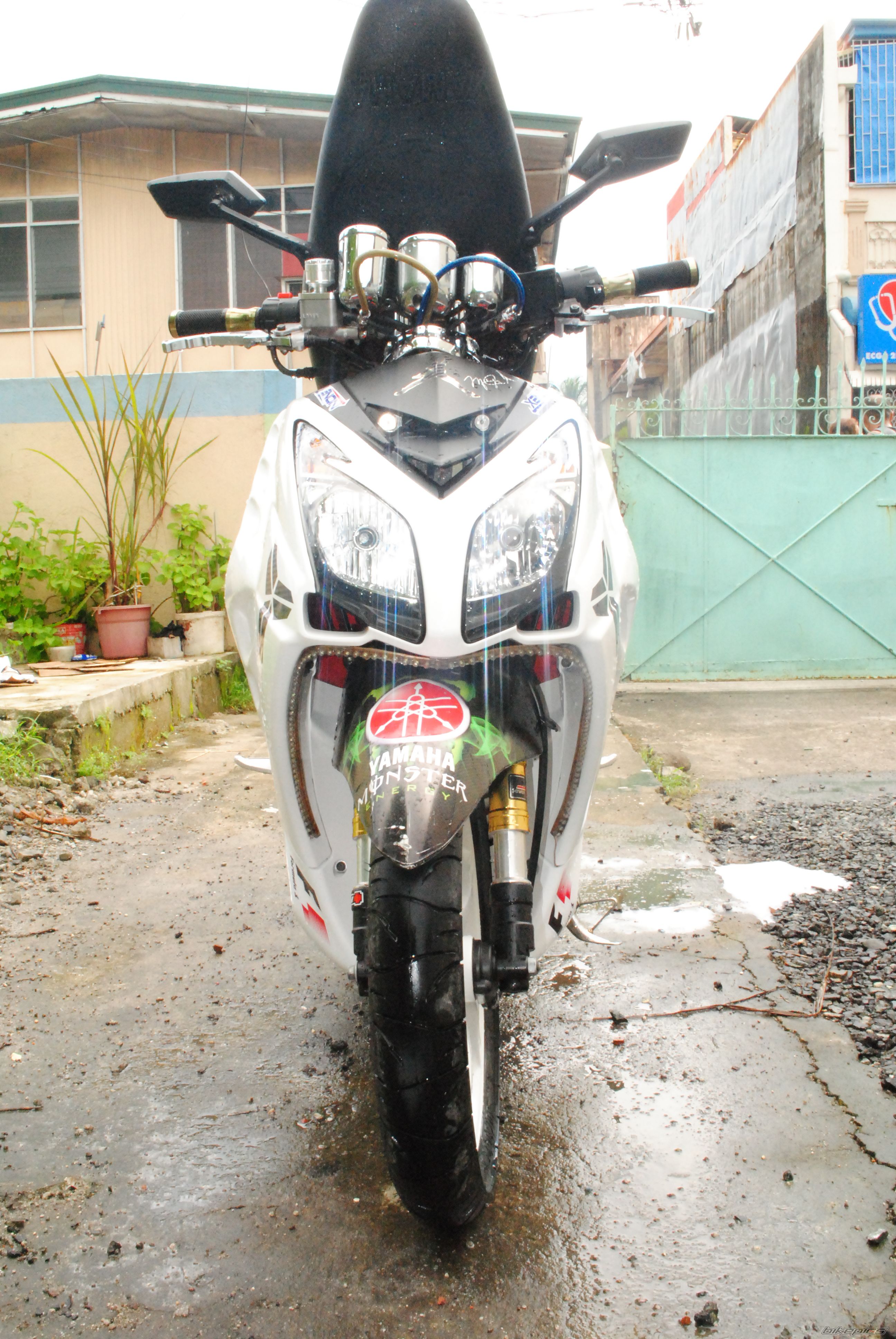 Photo 2268863