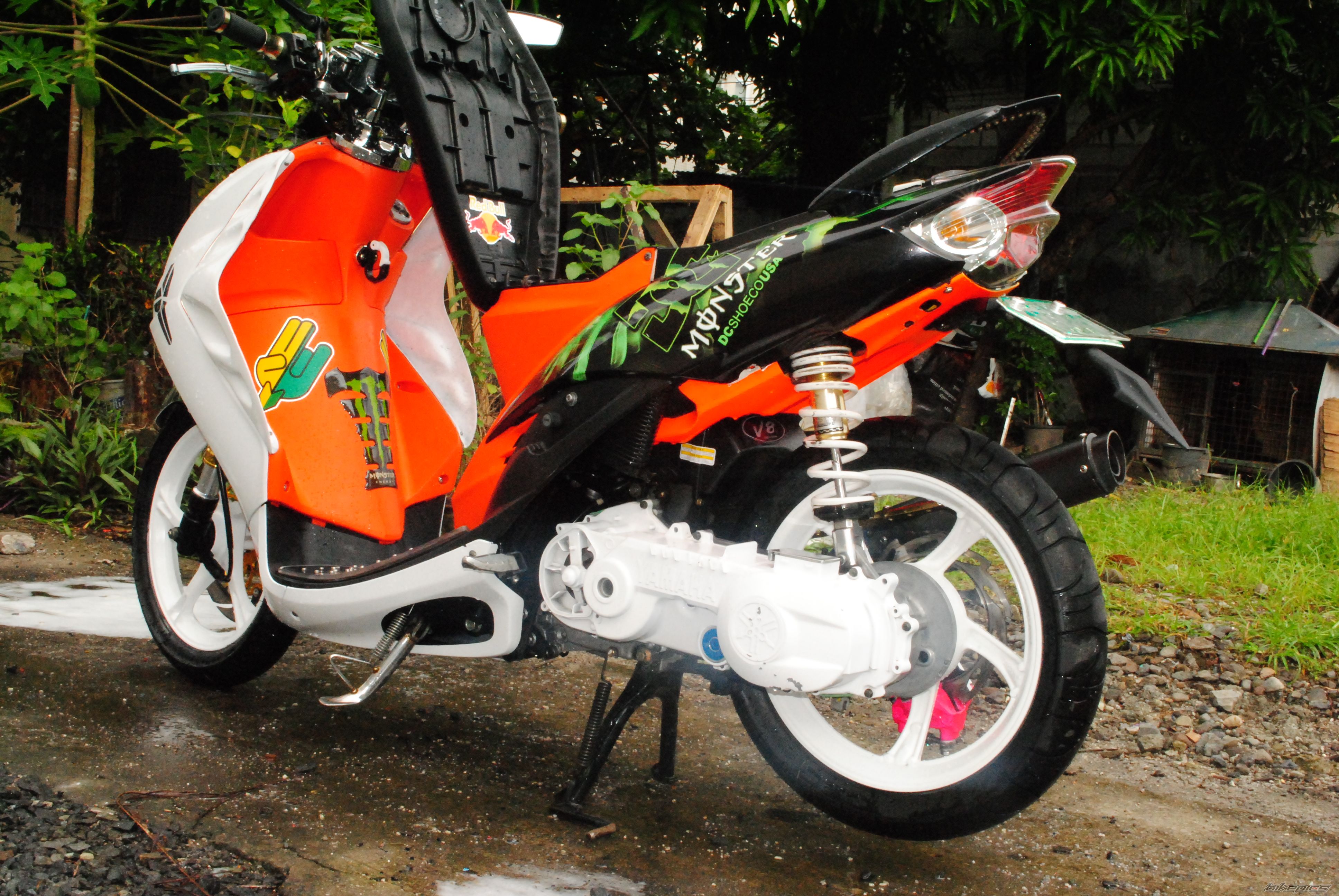 Photo 2268866