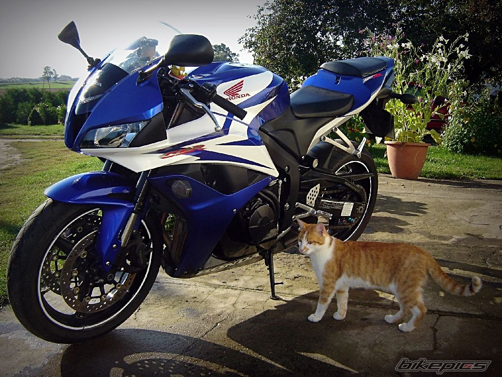 Photo 2268970