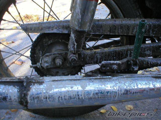 Photo 226909