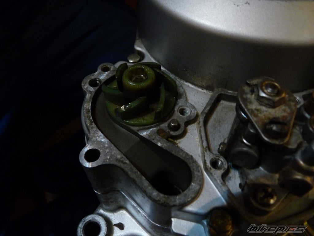 Photo 2269091